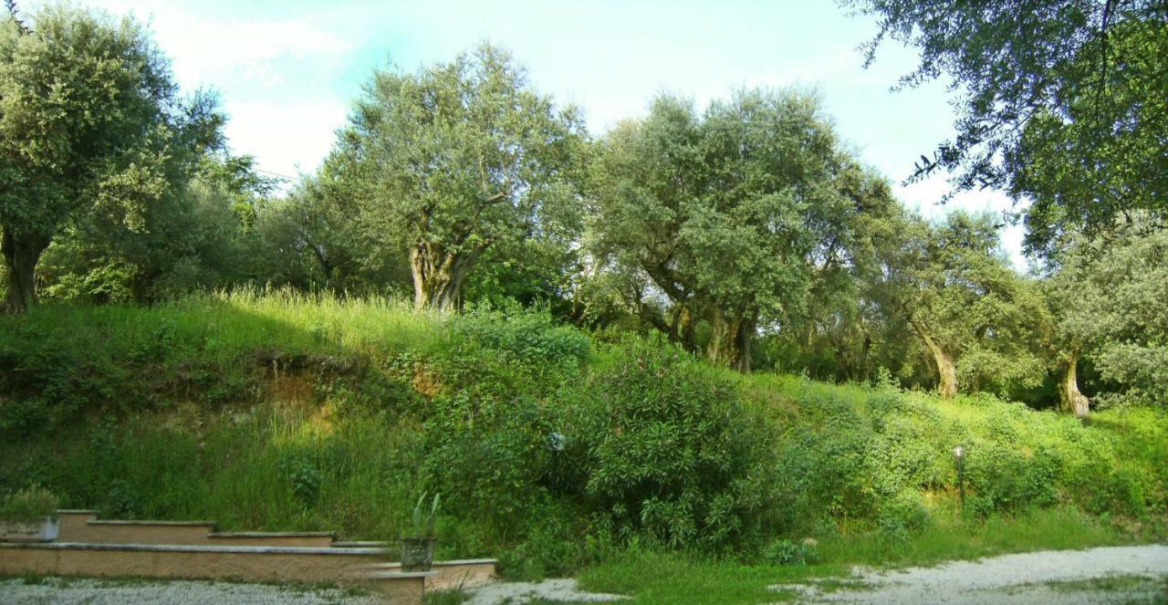 Palombara Sabina Argentella House 빌라 외부 사진